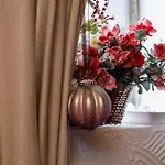 عطلات انجوي ذا سايلنس فلاسيتش