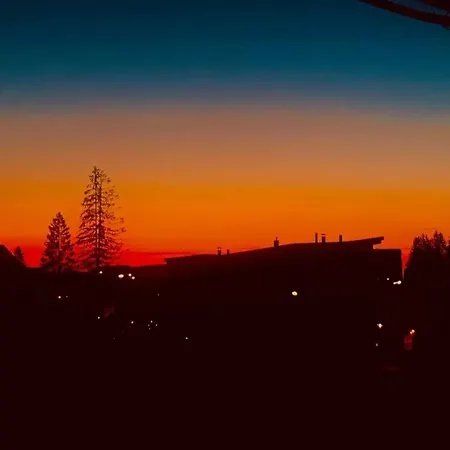 Enjoy The Silence Vlašić