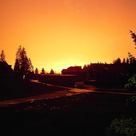 Enjoy The Silence * Vlašić