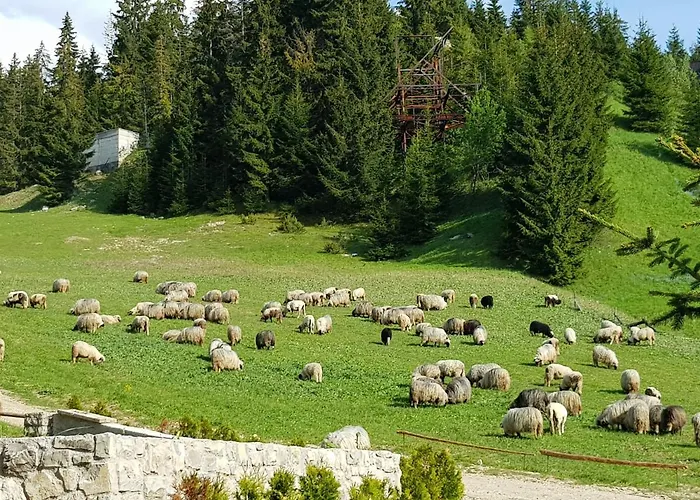 Enjoy The Silence * Vlašić