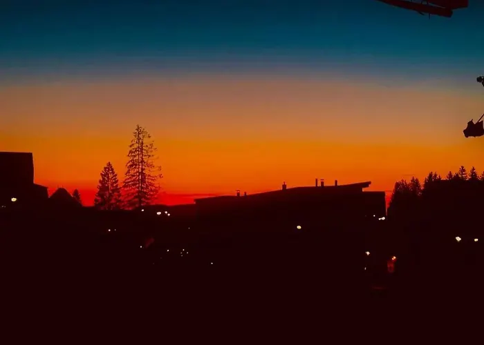 Enjoy The Silence Vlašić