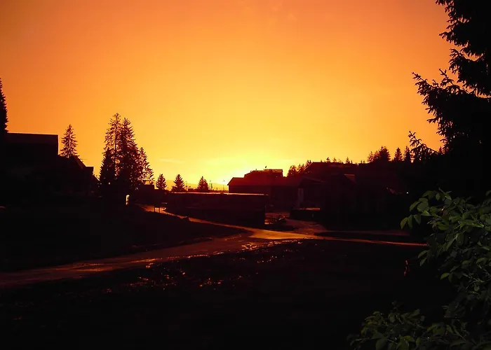 Enjoy The Silence * Vlašić