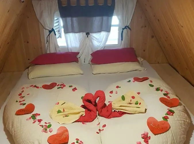 Enjoy The Silence * Vlašić